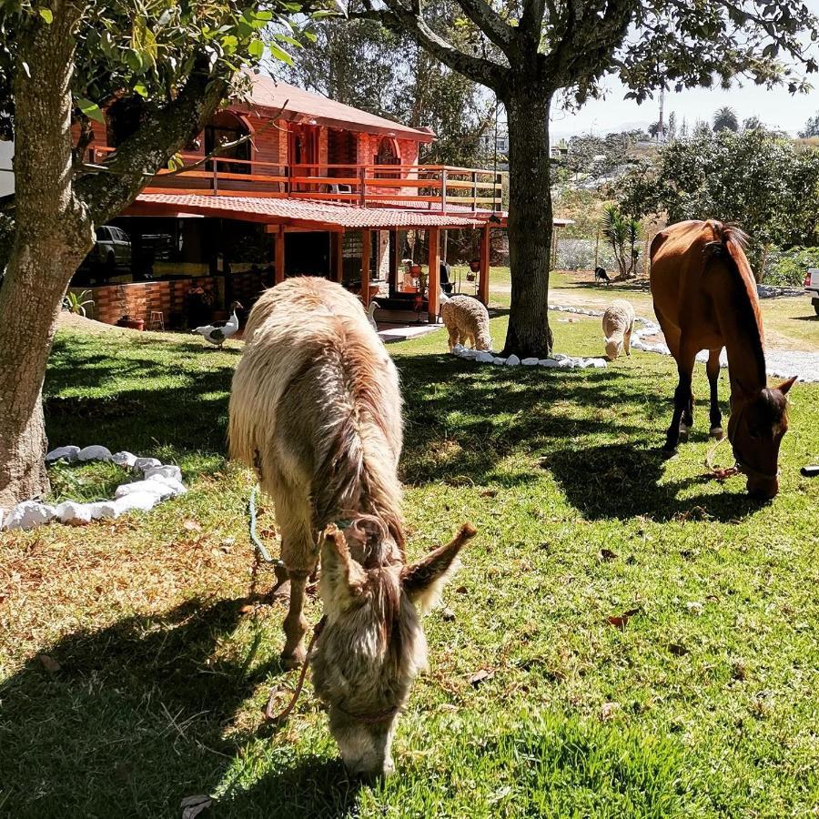 La Granja De Papa Alberto Puembo Dış mekan fotoğraf